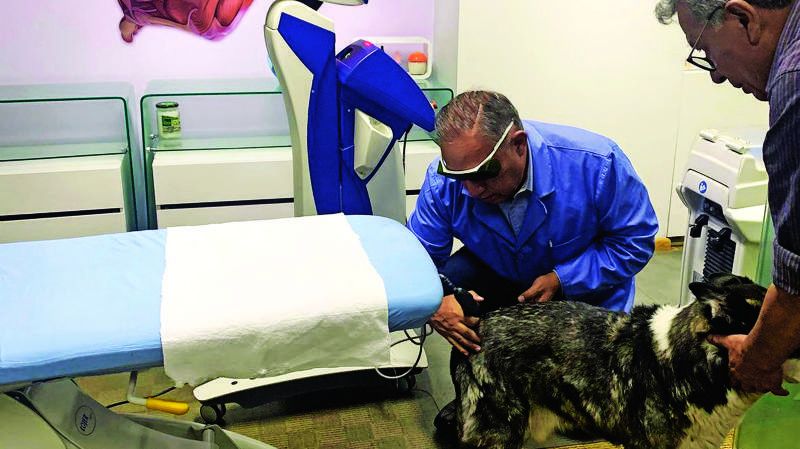 El medico deportivo altruista que trata a perros con cáncer en Bolivia